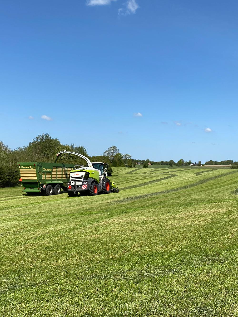ForageMax 50 Robust Strandsvingel